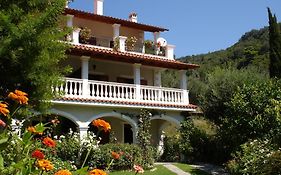Alexandros Apartments&Studios
